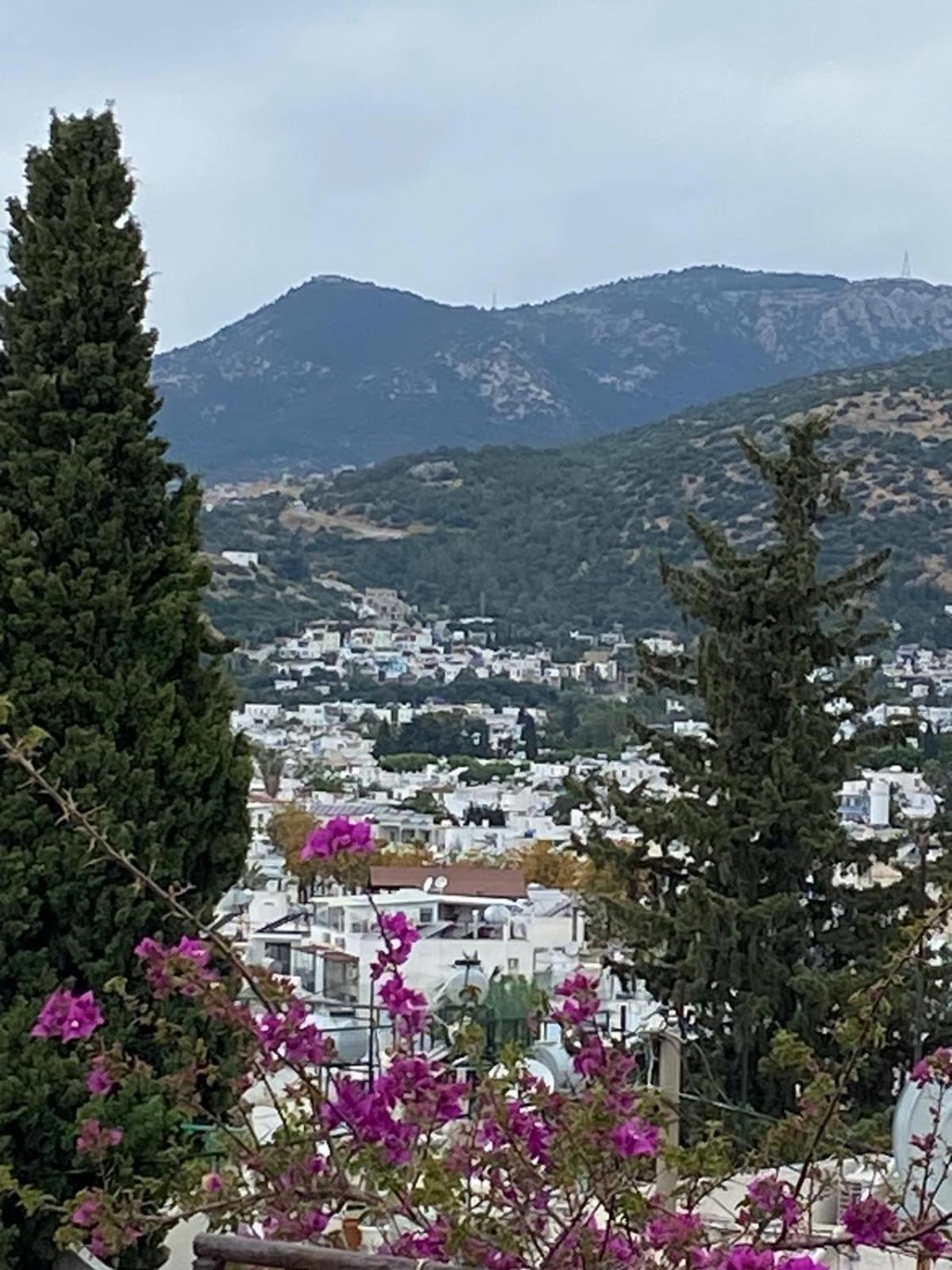 Izan Villa Bakis Apartments Bodrum Ngoại thất bức ảnh
